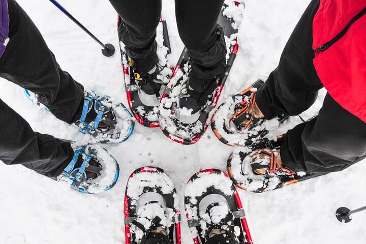 Arctic Snowshoe Hike from Tromsø: Wilderness Picnic, Scenic Stops & Pro Photos photo 2