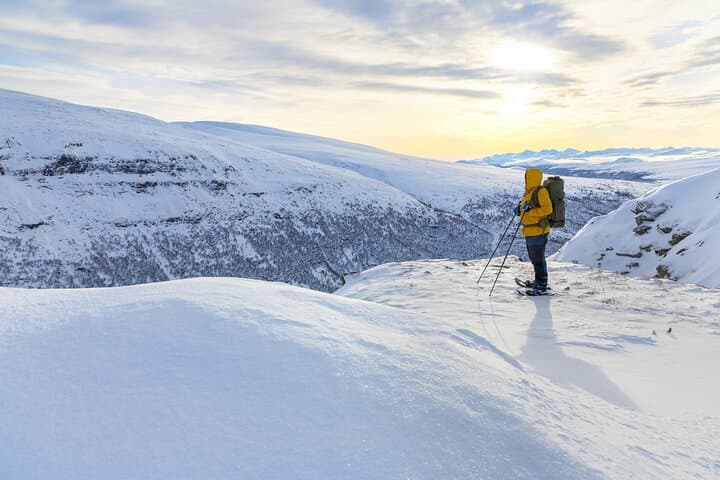 Arctic Snowshoe Hike from Tromsø: Wilderness Picnic, Scenic Stops & Pro Photos photo 3