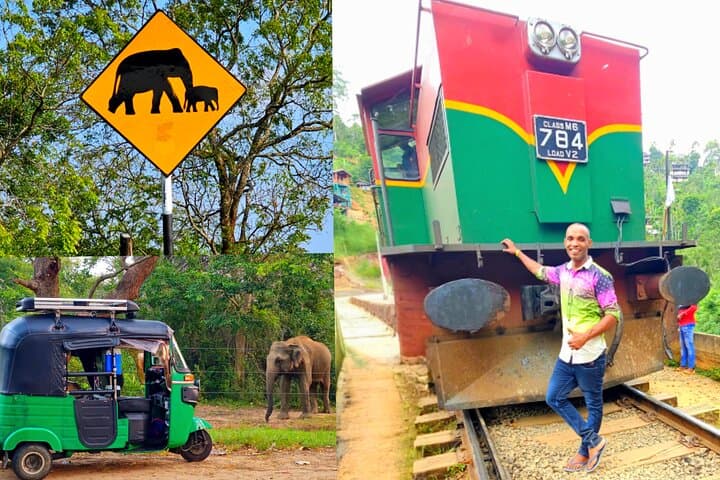 Six-Day Sigiriya-to-Yala Circuit: Cultural Sites, Highlands & Safari photo 3