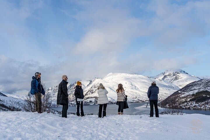 Arctic Snowshoe Hike from Tromsø: Wilderness Picnic, Scenic Stops & Pro Photos photo 4