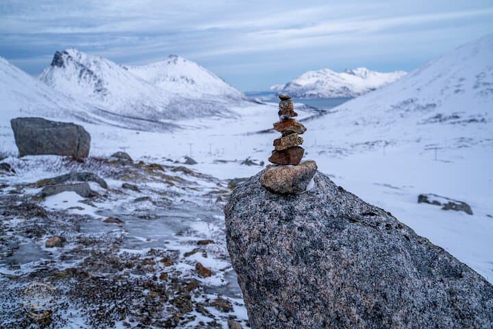 Arctic Snowshoe Hike from Tromsø: Wilderness Picnic, Scenic Stops & Pro Photos photo 6