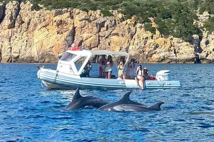 Olbia RIB Tour to Capo Figari: Dolphin Watching, Snorkeling & Cala Moresca