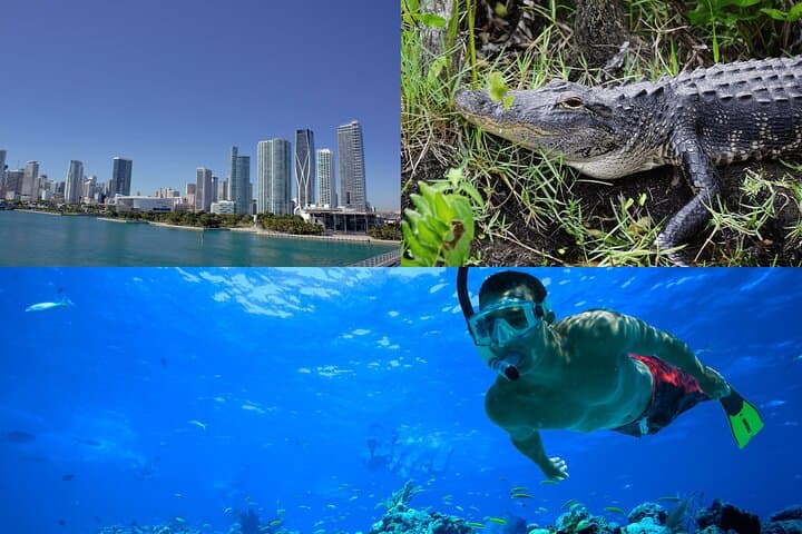 3-Day Florida Getaway: Miami Sights, Everglades Airboat & Key West Snorkel