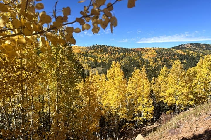Shelf Road & Cripple Creek Jeep Tour: Pikes Peak Views and Historic Mining Roads photo 2