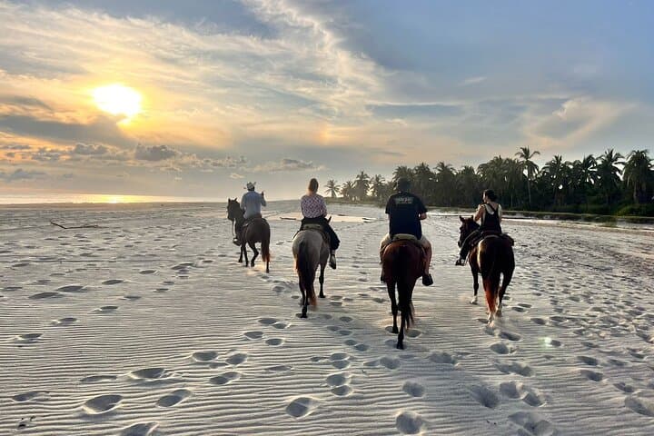 Horseback Riding Along Manialtepec River and Beach: Sunset Adventure on the Oaxacan Coast