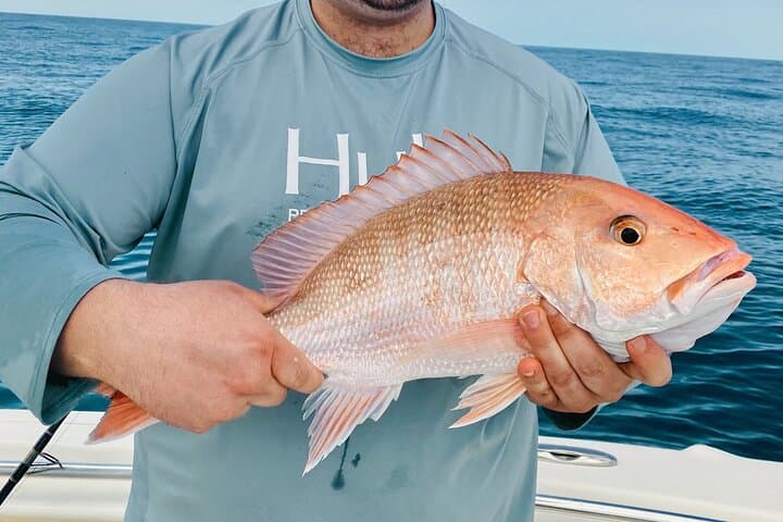 Clearwater Beach Deep-Sea Fishing: 4-Hour Private Charter with Gear Included