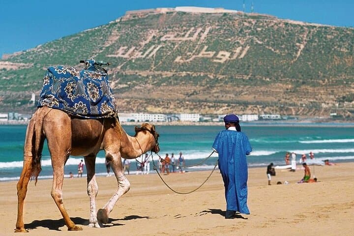 Agadir Camel Ride: Eucalyptus Dunes & Oued Souss Birdwatching