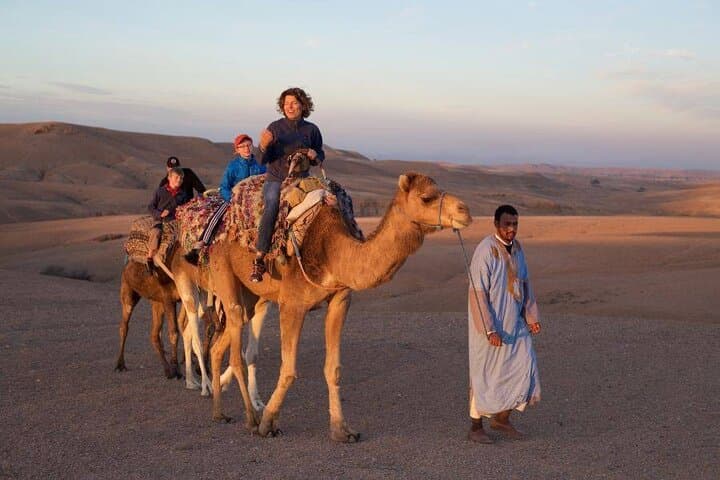 Agadir Camel Ride: Eucalyptus Dunes & Oued Souss Birdwatching photo 5