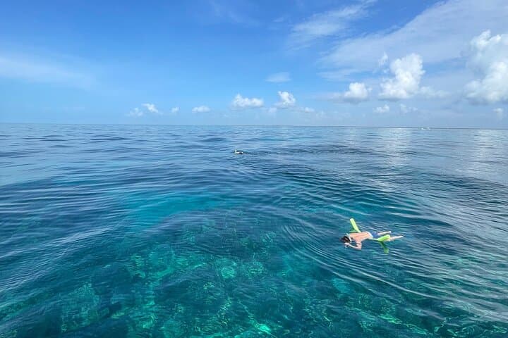 Private 4-Hour Snorkel Charter in Key Largo — Gear Included photo 4