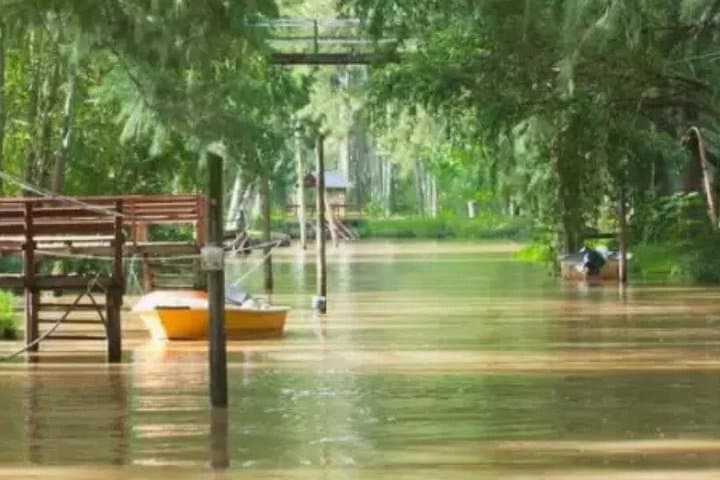 Tigre Delta Boat Tour: Puerto de Frutos, Mate Culture & River Mansions photo 3