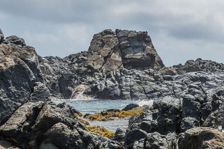 Arikok National Park Safari: Natural Pool (Conchi) & Baby Beach Snorkel photo 4