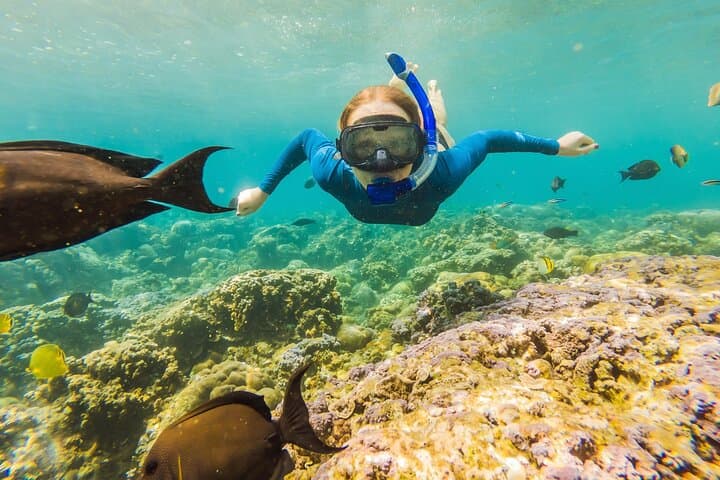 Full-Day Cancun ATV, Zipline & Cenote Adventure with Snorkeling photo 2