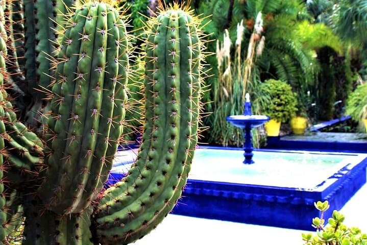 Majorelle Garden, Berber Museum & YSL: Private Marrakech Cultural Tour photo 3