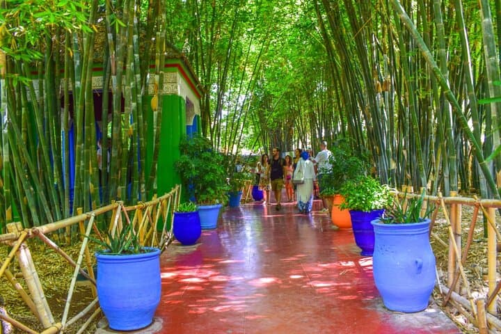 Majorelle Garden, Berber Museum & YSL: Private Marrakech Cultural Tour photo 5
