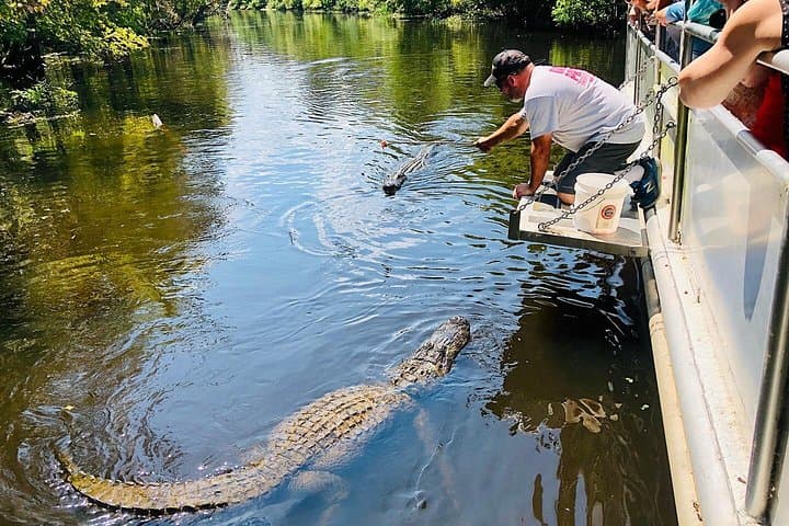 Manchac Swamp and Whitney Plantation Tour from New Orleans — Swamp Boat Ride & Slavery History photo 1