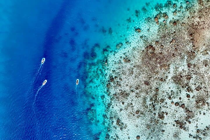 Moorea E-Board Private Lagoon Excursion with Snorkeling photo 6
