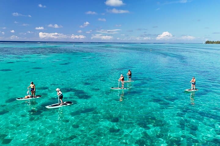 Moorea E-Board Private Lagoon Excursion with Snorkeling photo 2