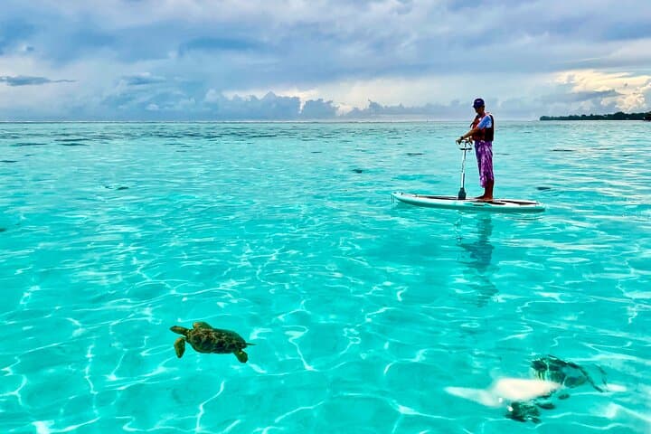 Moorea E-Board Private Lagoon Excursion with Snorkeling photo 3