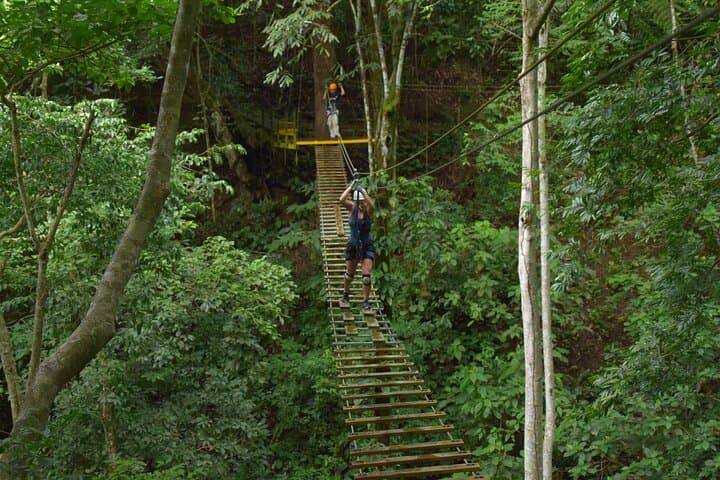 Half-Day High Ropes & Aerial Tram in Jacó — Canopy Challenge on Costa Rica’s Pacific Slope photo 6