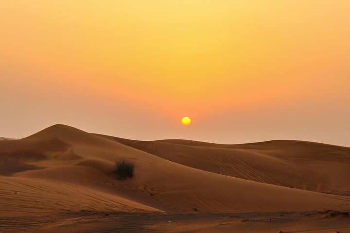 Doha Desert Safari: Dune Bashing, Camel Rides & Inland Sea Sunset photo 2