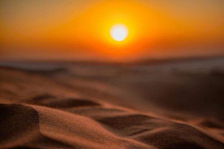 Doha Desert Safari: Dune Bashing, Camel Rides & Inland Sea Sunset photo 5