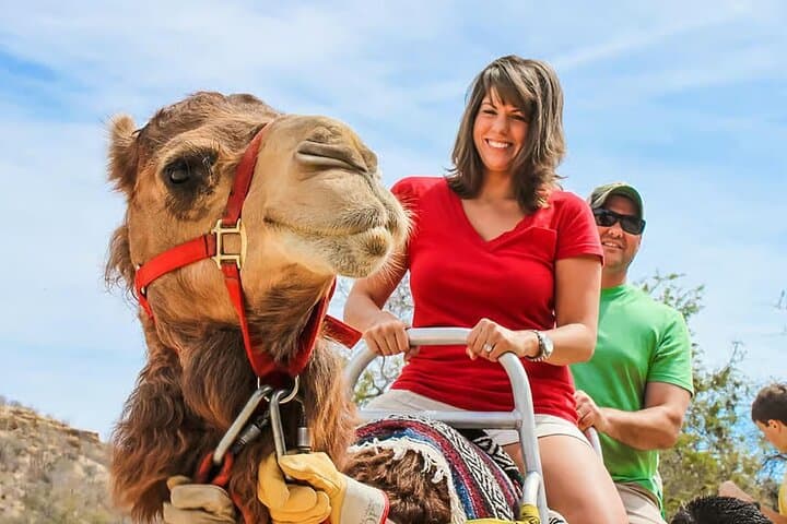 Camel Ride Adventure in Agadir: Beach & Small Sahara Experience photo 2
