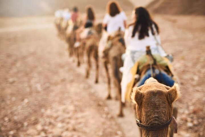 Camel Ride Adventure in Agadir: Beach & Small Sahara Experience photo 6