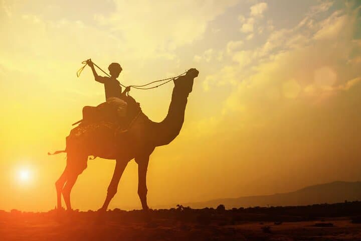 Camel Ride in Agadir: Beachside Sahara Adventure photo 5