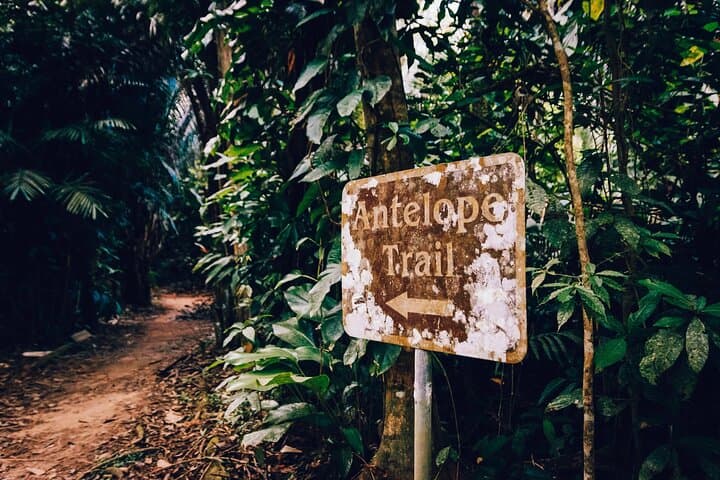 Private Antelope Trail Hike & Waterfall Swim from Placencia — Belize Jungle Adventure photo 4