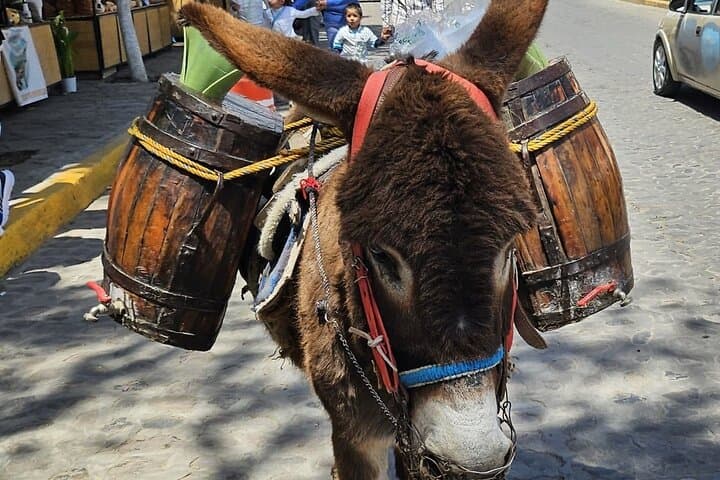 Horseback Riding in Tepetlaoxtoc: Culture, Valleys & Mexican BBQ from CDMX photo 4