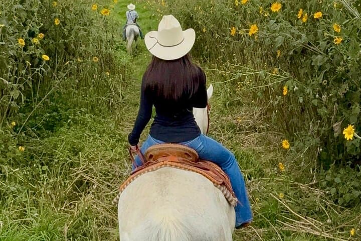 Horseback Riding in Tepetlaoxtoc: Culture, Valleys & Mexican BBQ from CDMX photo 1