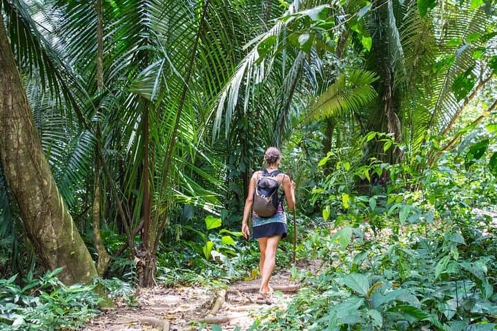 Private Antelope Trail Hike & Waterfall Swim from Placencia — Belize Jungle Adventure photo 6