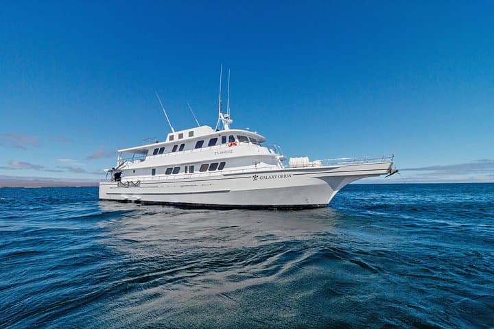 Galaxy Orion Galapagos Cruise: 4-Day Naturalist Voyage with Snorkeling & Hiking