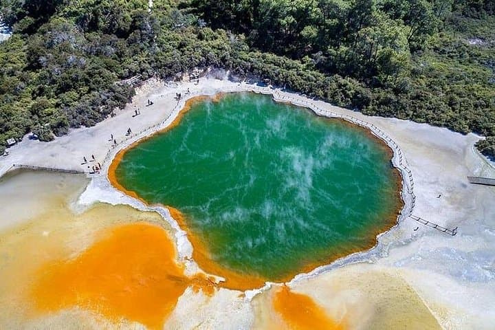 Hamilton Triple Deal: Wai-O-Tapu, Rotorua Redwoods & Blue Spring Day Tour