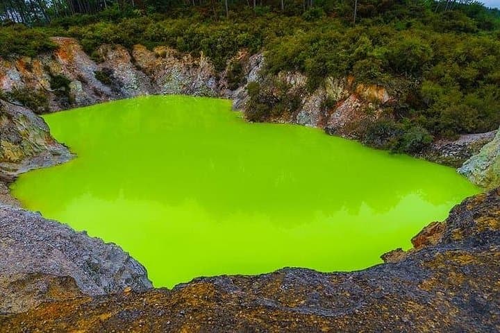 Hamilton Triple Deal: Wai-O-Tapu, Rotorua Redwoods & Blue Spring Day Tour