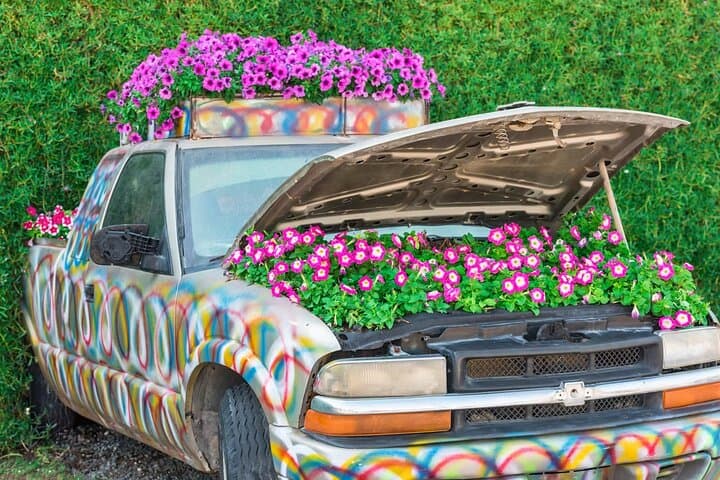 Skip-the-Line Dubai Miracle Garden: Guide to Visiting the World's Largest Flower Display photo 5