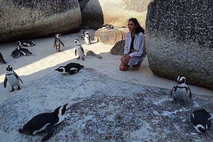 Cape Peninsula Private Tour: Penguins, Cape Point & Seal Island Day Trip photo 2