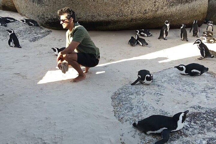 Cape Peninsula Private Tour: Penguins, Cape Point & Seal Island Day Trip photo 4
