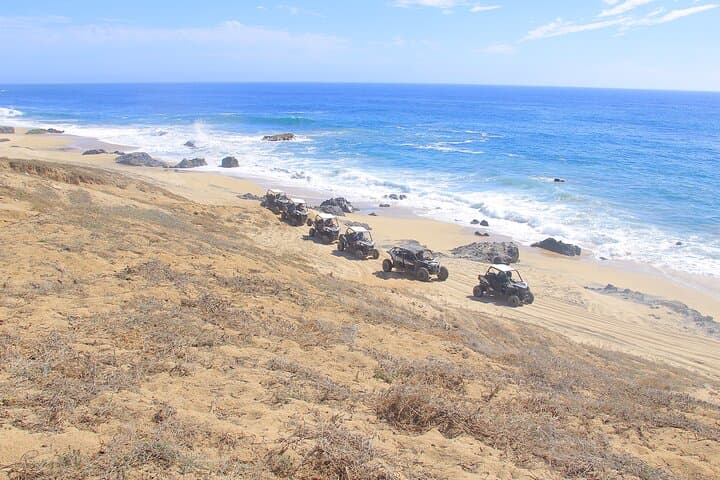 Los Cabos UTV and Camel Combo: Dune Runs, Beach Drives & Tequila Tasting photo 6