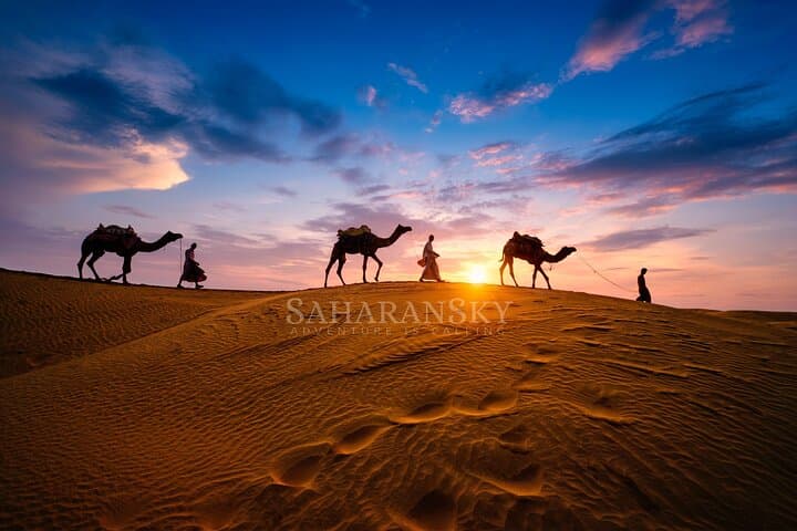 Douz Sahara Overnight Camel Camp: Sunset Rides, Starry Night & Berber Dinner