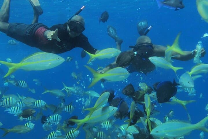 VIP Party Catamaran & Snorkeling Cruise from Sosua photo 4