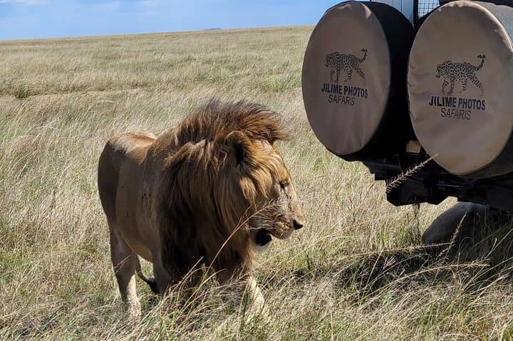Budget Private Safari to Masai Mara Kenya: Two-Day Wildlife & Cultural Experience photo 3