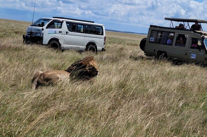 Budget Private Safari to Masai Mara Kenya: Two-Day Wildlife & Cultural Experience photo 4