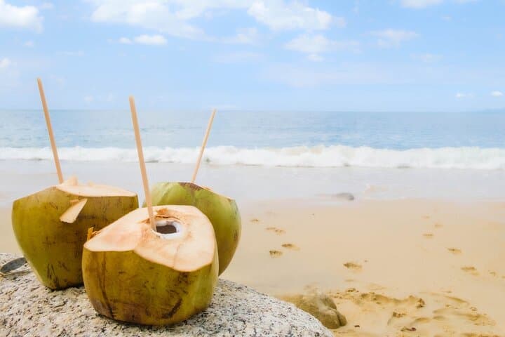 Hidden Beach Snorkeling Adventure in Southern Puerto Vallarta: Boat, Snorkel & Local Flavors photo 2
