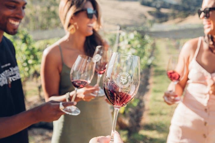 Waiheke Island Wine Tour: Scenic Vineyards, Tastings & Rangitoto Views photo 4