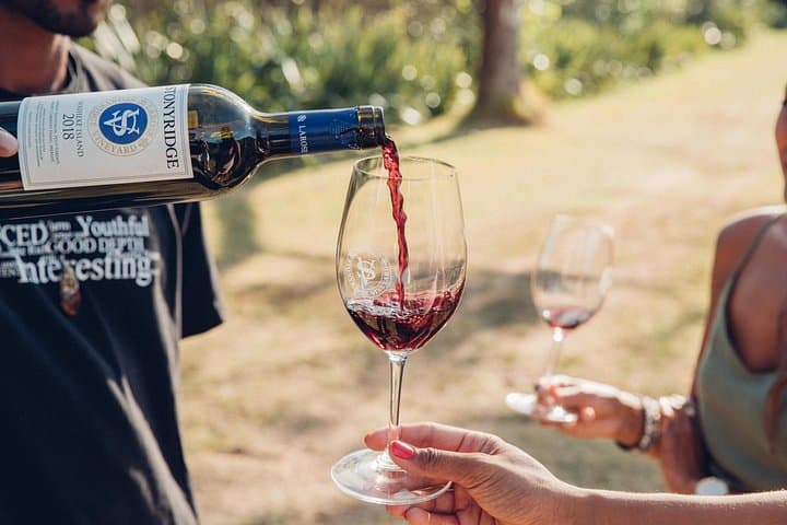 Waiheke Island Wine Tour: Scenic Vineyards, Tastings & Rangitoto Views photo 3
