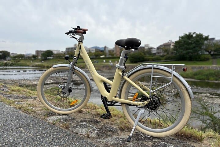 E-Bike Kyoto: Arashiyama, Kinkaku-ji & the Philosopher's Path photo 2