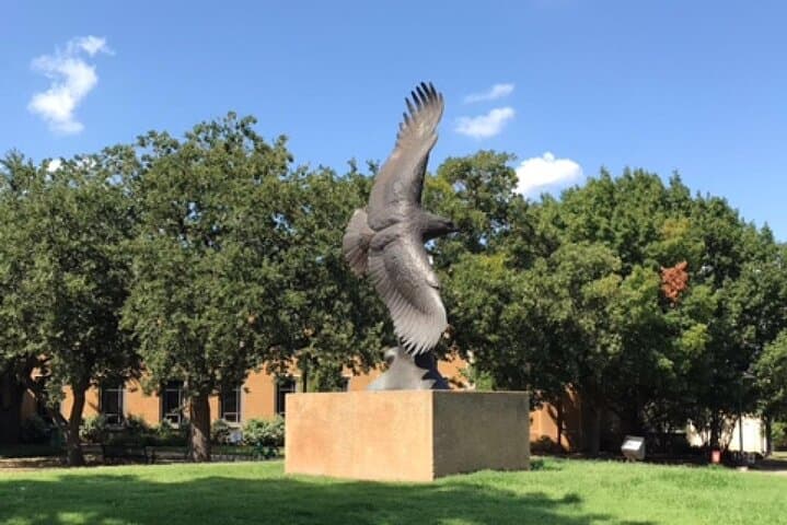 UNT Scavenger Hunt: Self-Guided Campus Escape Game in Denton photo 4