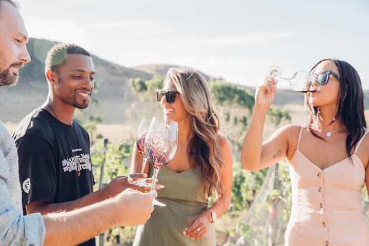 Waiheke Island Wine Tour: Tastings & Gourmet Beachfront Lunch at Onetangi photo 4