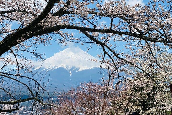 Private Mount Fuji Full-Day: 5th Station, Lake Kawaguchi & Hakone Highlights photo 2